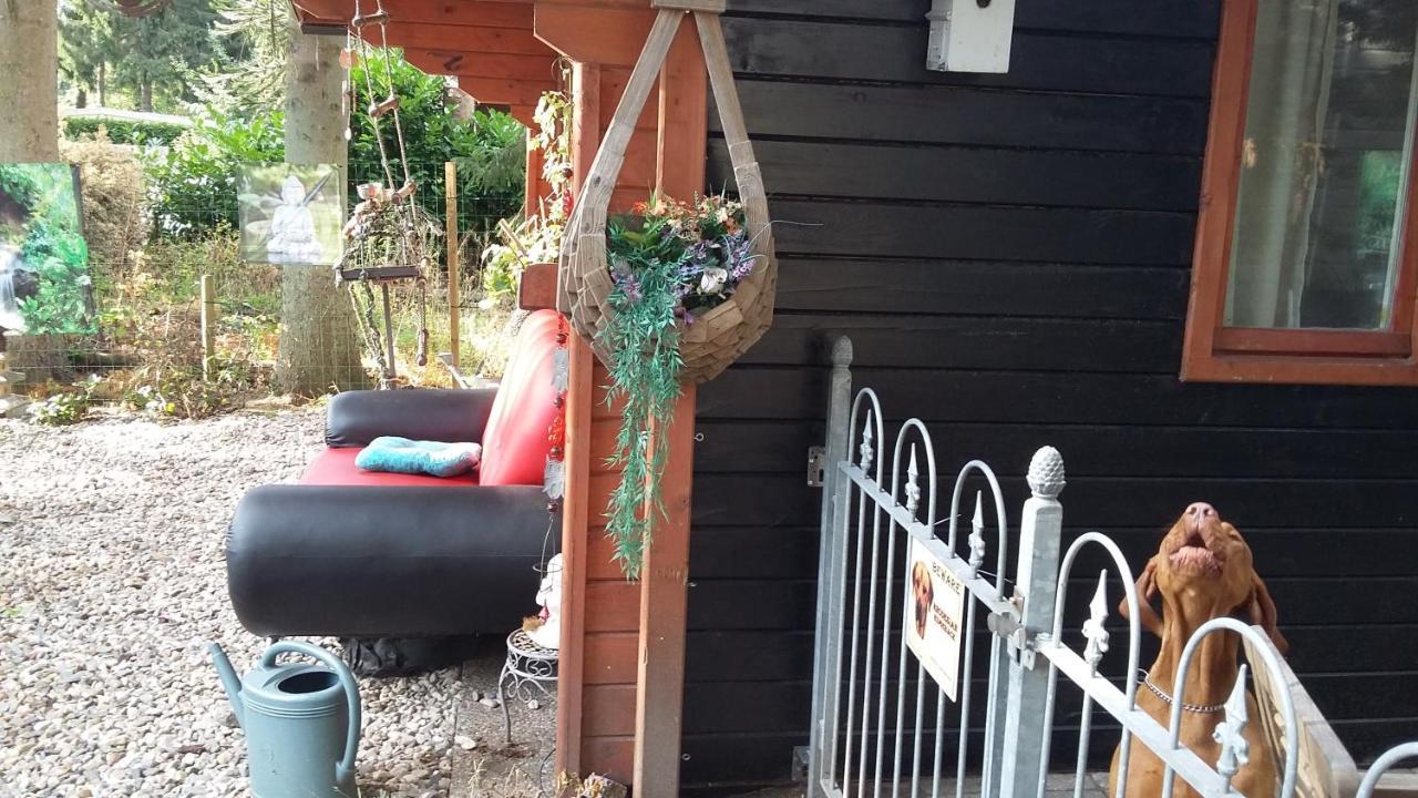 Chalet Op Een Rustig Park In De Natuur Putten Zewnętrze zdjęcie
