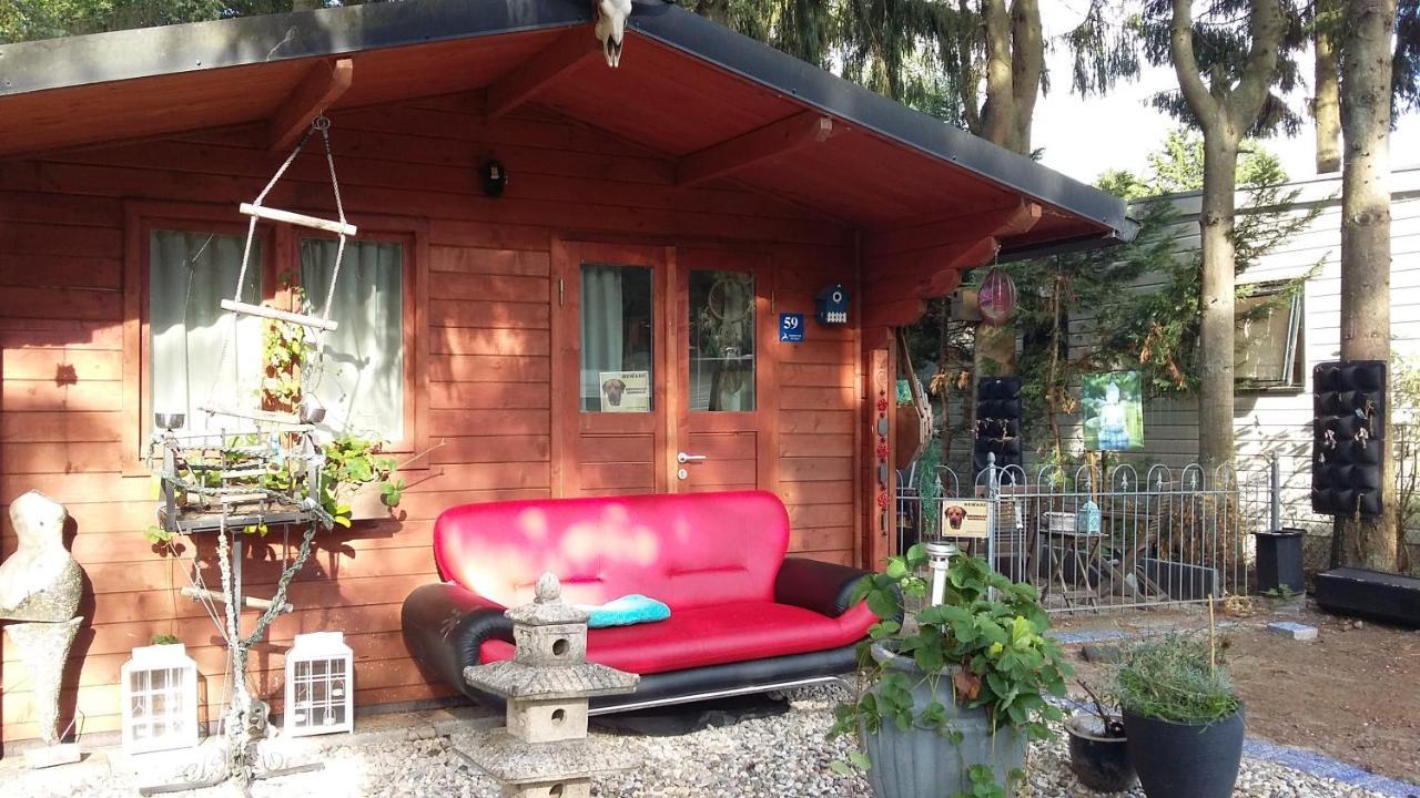 Chalet Op Een Rustig Park In De Natuur Putten Zewnętrze zdjęcie