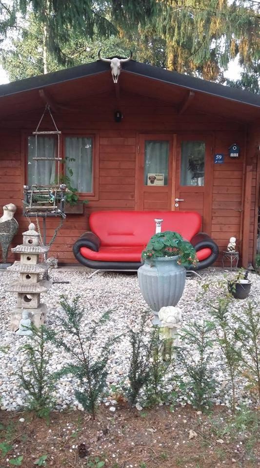 Chalet Op Een Rustig Park In De Natuur Putten Zewnętrze zdjęcie