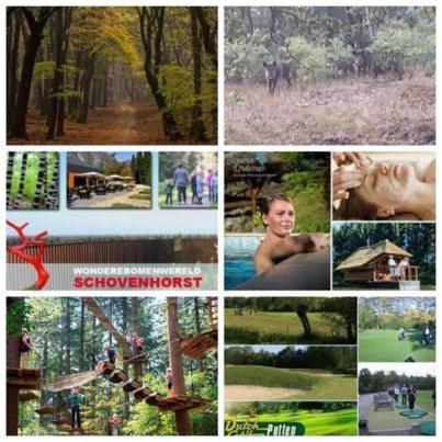 Chalet Op Een Rustig Park In De Natuur Putten Zewnętrze zdjęcie